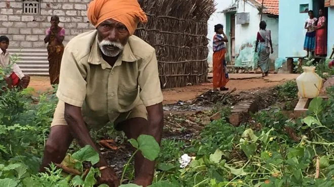 clean india